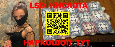 шишки Можга