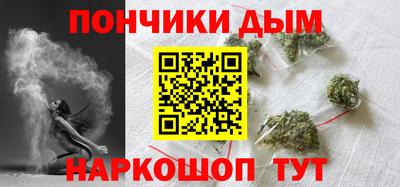 шишки Можга