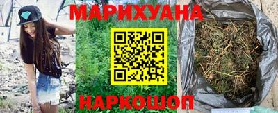 шишки Можга