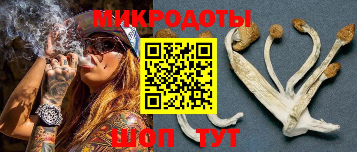 Псилоцибиновые грибы MAGIC MUSHROOMS  Вход с VPN  Улан-Удэ 